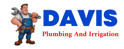 Trusted plumber in HANA